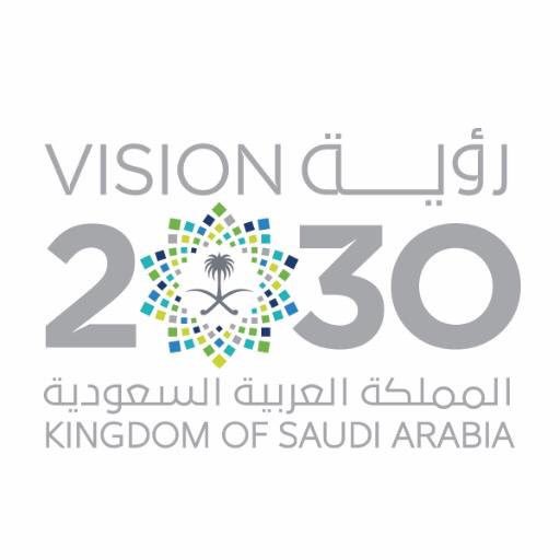 رؤية المملكة العربية السعودية 2030 مجتمع حيوي بنيانه متين