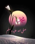 السيرة النبوية قرار الهجرة