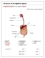 الدرس الرابع ساينس للصف الرابع الأبتدائي ترم أول 2022