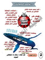 المفهوم الرابع من الوحدة الأولى علوم للصف الرابع الأبتدائي ترم أول 2022