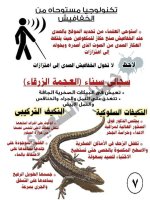 المفهوم الرابع من الوحدة الأولى علوم للصف الرابع الأبتدائي ترم أول 2022