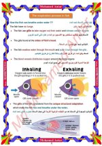 الدرس الخامس كيف تتنفس الاسماك + تغيير الإنسان ساينس للصف الرابع الأبتدائي ترم أول 2022