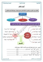 الدرس الأول أقسام الكلام لغة عربية للصف الرابع الإبتدائي ترم أول 2022