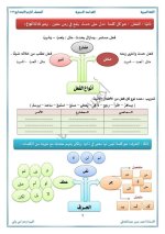 الدرس الأول أقسام الكلام لغة عربية للصف الرابع الإبتدائي ترم أول 2022
