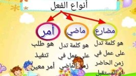 أقسام الكلام للمرحلة الإبتدائية بطريقة سهلة و بسيطة