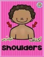 أعضاء الجسم باللغة الانجليزية للأطفال
