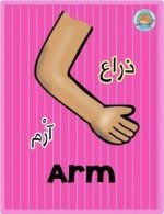 أعضاء الجسم باللغة الانجليزية للأطفال