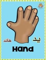 أعضاء الجسم باللغة الانجليزية للأطفال