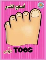 أعضاء الجسم باللغة الانجليزية للأطفال