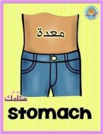 أعضاء الجسم باللغة الانجليزية للأطفال