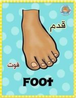 أعضاء الجسم باللغة الانجليزية للأطفال