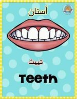 أعضاء الجسم باللغة الانجليزية للأطفال