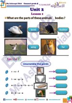 الوحدة الثانية لغة إنجليزية للصف الرابع الأبتدائي ترم أول 2022