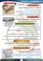 مراجعة علوم على الوحدة الأولى للصف الرابع الأبتدائي ترم أول