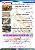 مراجعة علوم على الوحدة الأولى للصف الرابع الأبتدائي ترم أول