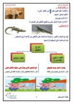 علوم للصف الرابع الأبتدائي ترم أول 2022