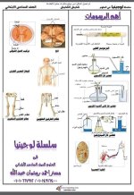 مراجعة علوم للصف السادس الأبتدائي ترم أول 2022