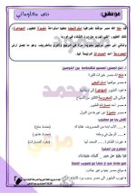 تدريبات لغة عربية للصف الرابع الأبتدائي ترم أول 2022