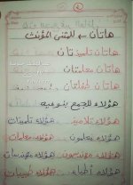 شرح مميز لدرس أسماء الإشارة للمرحلة الابتدائية