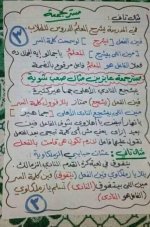 ملخص تأسيس رائع في النحو للمرحلة الابتدائية