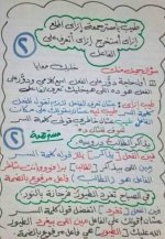 ملخص تأسيس رائع في النحو للمرحلة الابتدائية