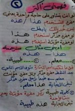ملخص تأسيس رائع في النحو للمرحلة الابتدائية