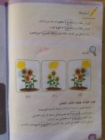 حل علوم الوحدة الثالثة الصف الرابع 2022 منهاج سوريا