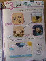 حل علوم الوحدة الثالثة الصف الرابع 2022 منهاج سوريا