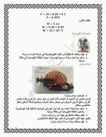 حل الدرس الثاني تأثير الحقل المغناطيسي الفيزياء الصف التاسع 2022 منهاج سوريا