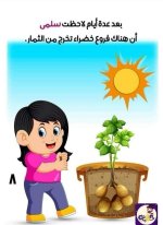 الله خالق كل شئ قصة تعليمية للأطفال