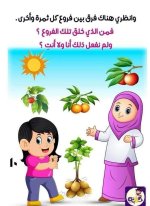 الله خالق كل شئ قصة تعليمية للأطفال