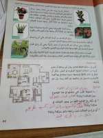 حل الكتاب المدرسي المهارات المهنية الصف الرابع المنهاج المصري