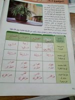حل الكتاب المدرسي المهارات المهنية الصف الرابع المنهاج المصري