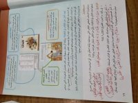 حل الكتاب المدرسي المهارات المهنية الصف الرابع المنهاج المصري