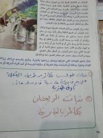حل الكتاب المدرسي المهارات المهنية الصف الرابع المنهاج المصري