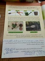 حل الكتاب المدرسي المهارات المهنية الصف الرابع المنهاج المصري
