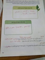 حل الكتاب المدرسي المهارات المهنية الصف الرابع المنهاج المصري