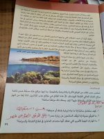 حل الكتاب المدرسي المهارات المهنية الصف الرابع المنهاج المصري