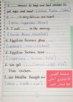 اسئلة اختيار من متعدد على الوحدة الأولى connect 4 المنهاج المصري