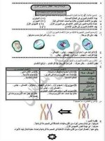 مراجعة مع حل اسئلة الكتاب المدرسي علوم للصف الثالث الإعدادي ترم أول