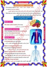مفهوم 2 الدرس 2 ساينس للصف الرابع الإبتدائي ترم أول 2022