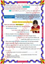مفهوم 2 الدرس 2 ساينس للصف الرابع الإبتدائي ترم أول 2022