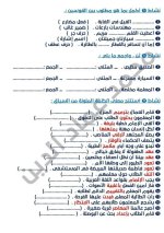 مراجعة الموضوعين الأول والثاني لغة عربية للصف الرابع الأبتدائي ترم أول 2022