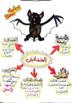 تأسيس جميل للمرحلة للصفوف الاولى