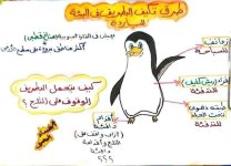 تأسيس جميل للمرحلة للصفوف الاولى