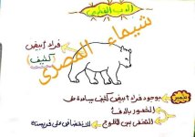 تأسيس جميل للمرحلة للصفوف الاولى