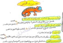 تأسيس جميل للمرحلة للصفوف الاولى