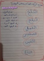 شرح اللام القمرية والشمسية بطريقة سهلة ومبسطة