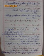 شرح اللام القمرية والشمسية بطريقة سهلة ومبسطة