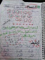 تمارين لغة عربية رائعة للصف الأول الابتدائي